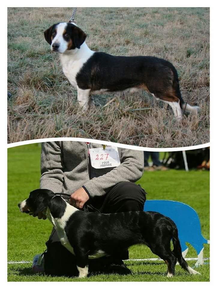 fb_img_1484760722405