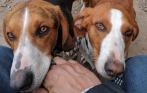 IMG_20170602_0618282